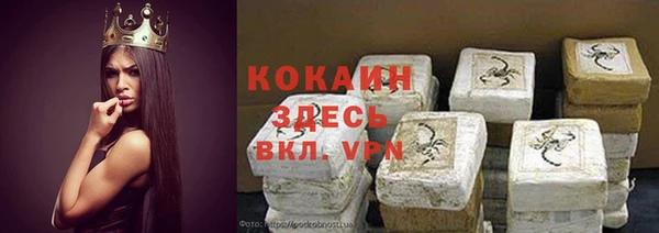 крисы Алексин