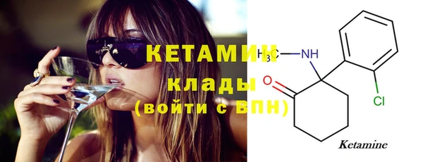 крисы Алексин