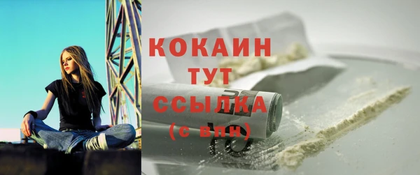 крисы Алексин