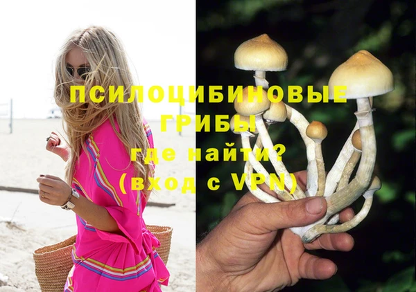 крисы Алексин