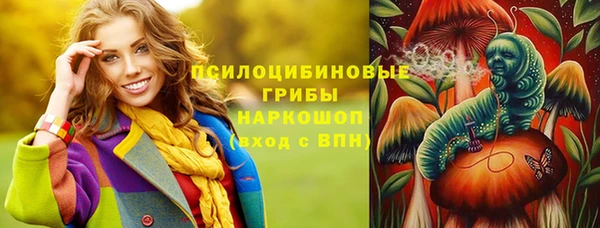 крисы Алексин